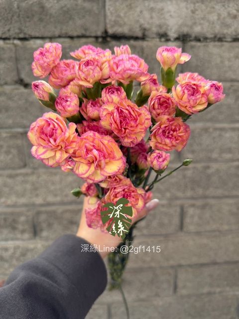 image_DA5D01E4-B130-4233-A964-8F514C58962B_1775114478