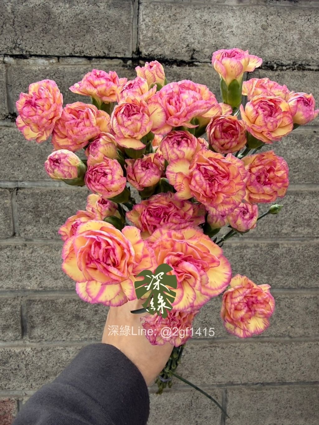 image_F8B019F6-40D2-4FF5-8B17-6659EC92E9D9_1775114478