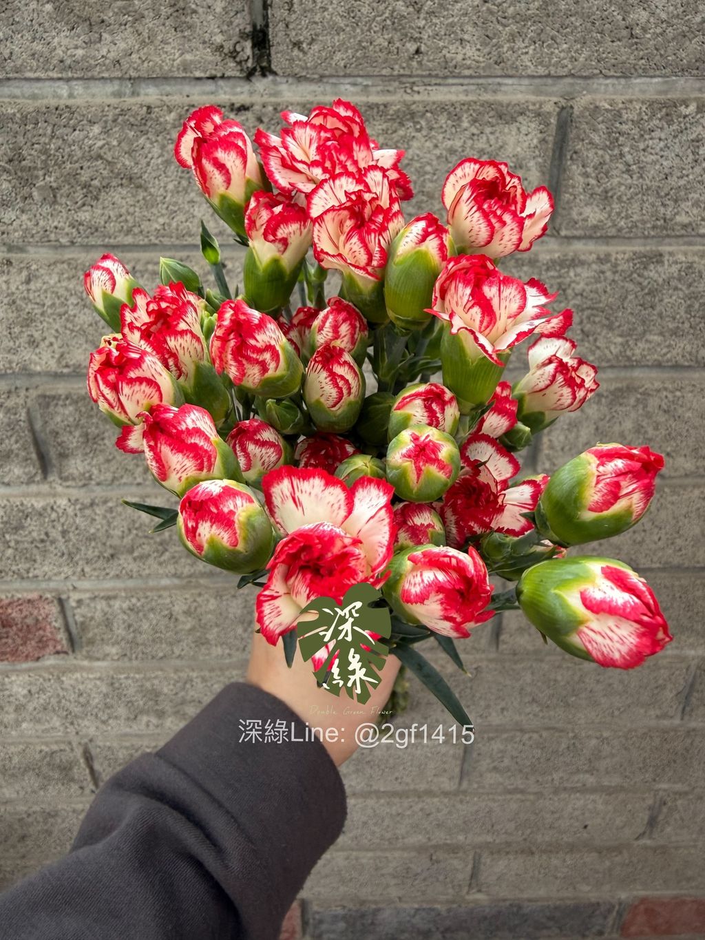 image_C04A96B4-6430-4C05-BFCD-C5FC826F2ACA_1775114499