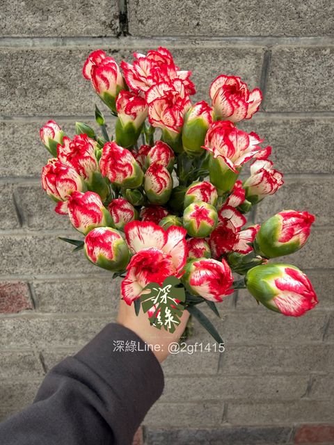 image_C04A96B4-6430-4C05-BFCD-C5FC826F2ACA_1775114499