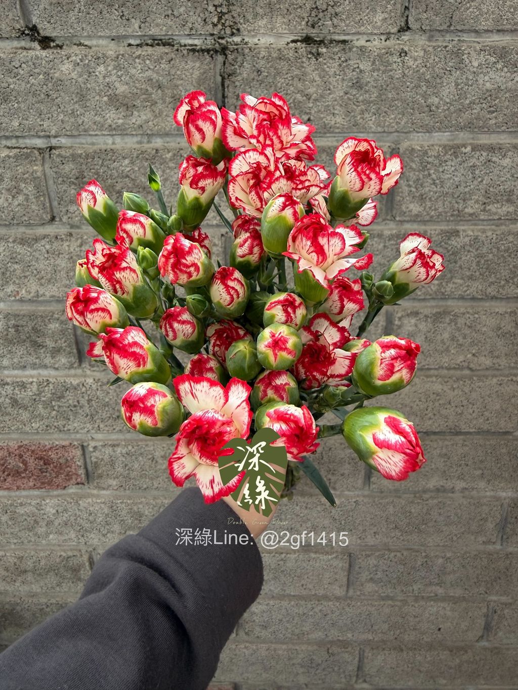 image_F8262F4C-EF2C-4AD8-AD9B-7B1A7EBF0C85_1775114499