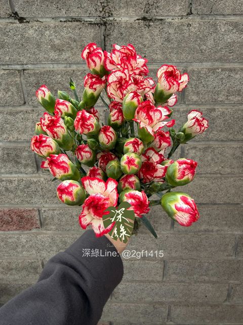 image_F8262F4C-EF2C-4AD8-AD9B-7B1A7EBF0C85_1775114499