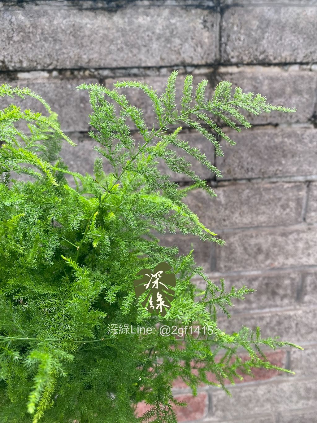 image_306C272B-45F7-4B3D-B10F-7D15F1789FEA_1775120241