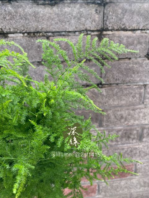 image_306C272B-45F7-4B3D-B10F-7D15F1789FEA_1775120241