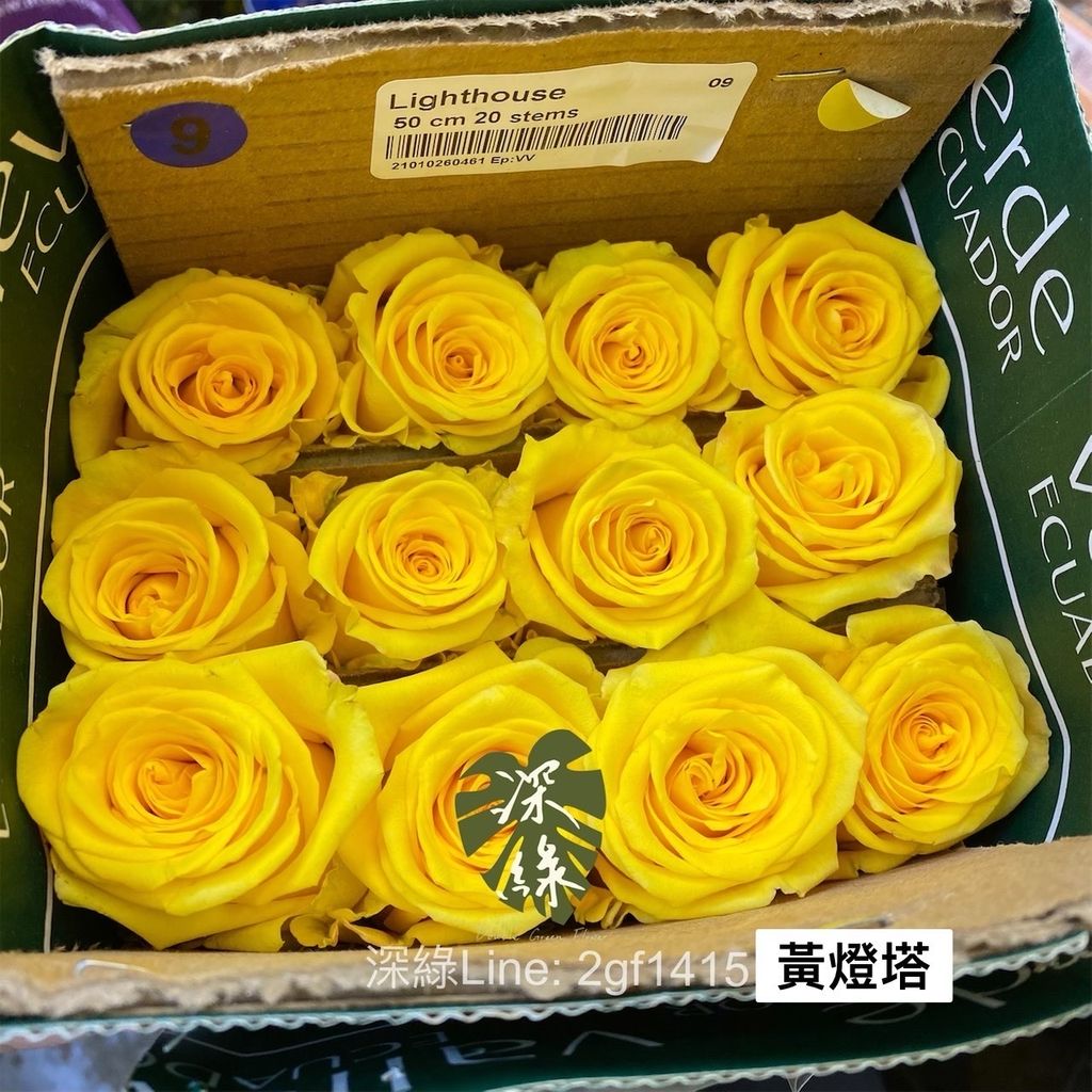 image_505D4C2C-6F08-4815-937A-B22EEDF94081_1775203058