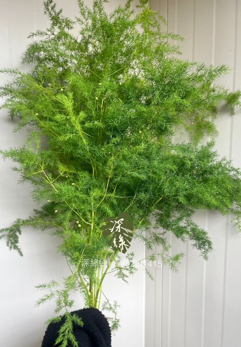 image_A30EC486-8ED0-4767-A59A-56C383D6E914_1775230618