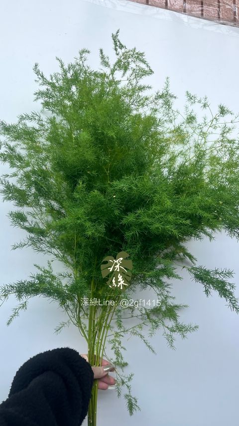 image_2A24410E-2651-4633-B701-3353DE43D51B_1775230618