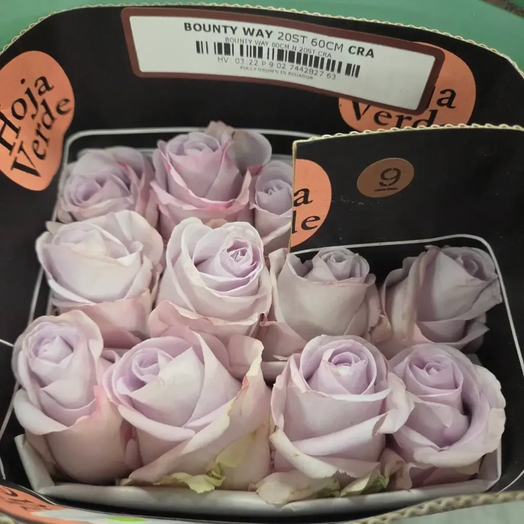 image_BB657584-59E9-436E-B292-6D1CF01DEAD5_1775368019