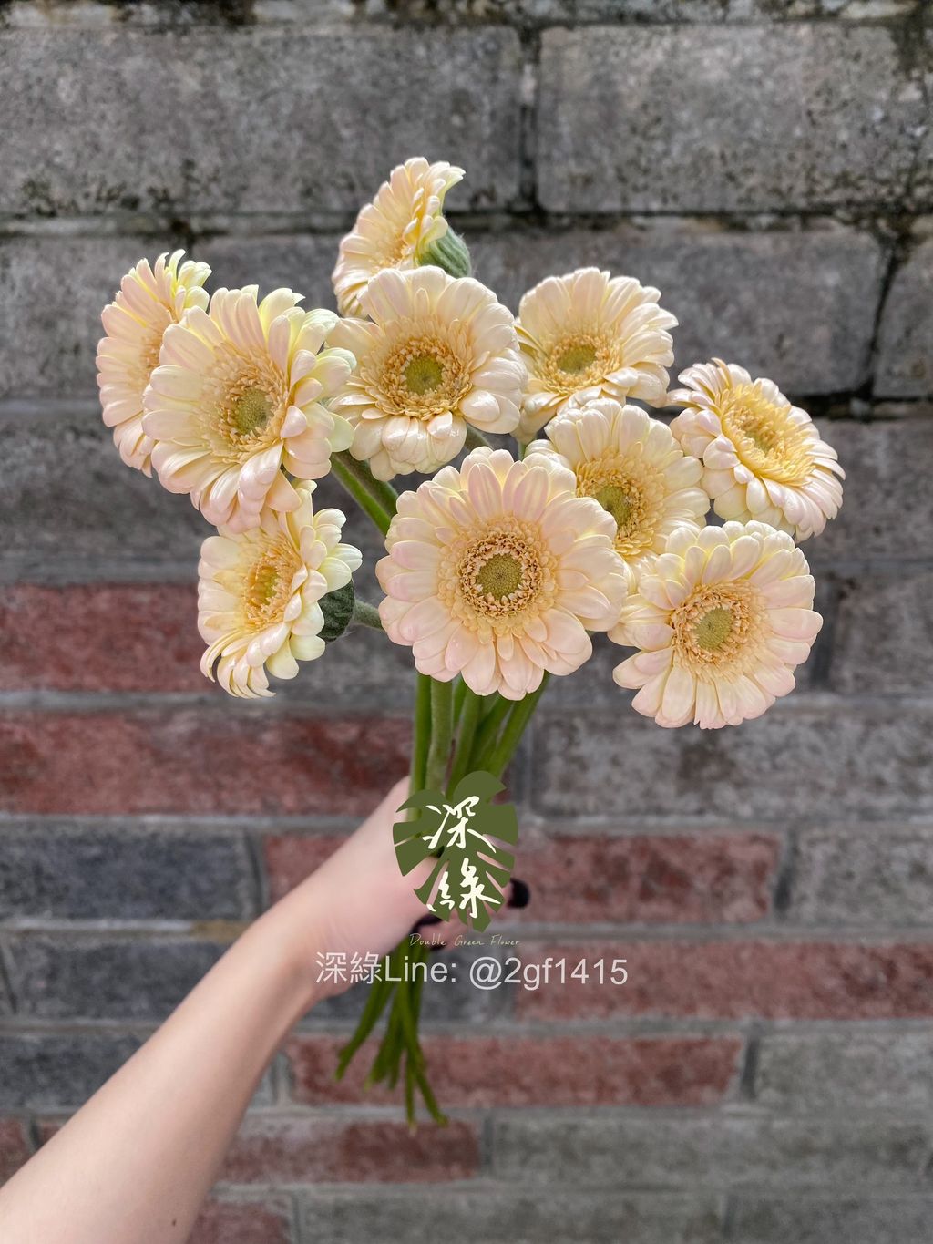 image_E258FBDF-5702-4B85-A72B-7E40EC7F3FAD_1775458197