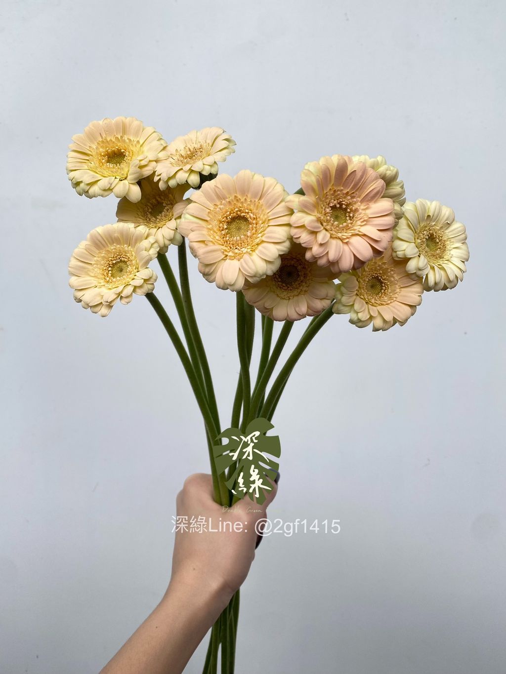 image_0E85A3B0-EC1A-459B-9C39-AC30BCC005A0_1775458197