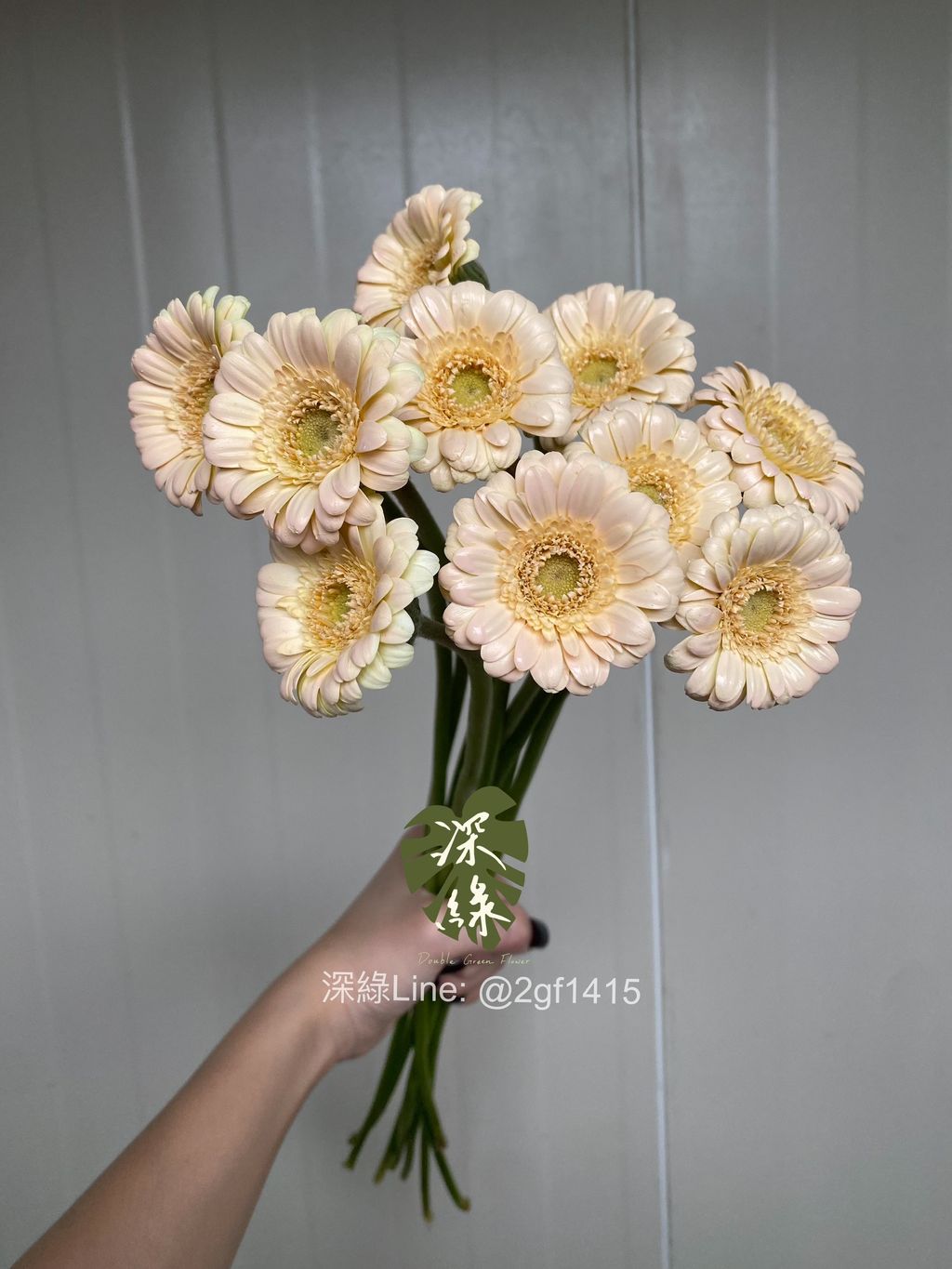 image_B733CBA4-8E75-4430-BE70-09615CDF7F5C_1775458197