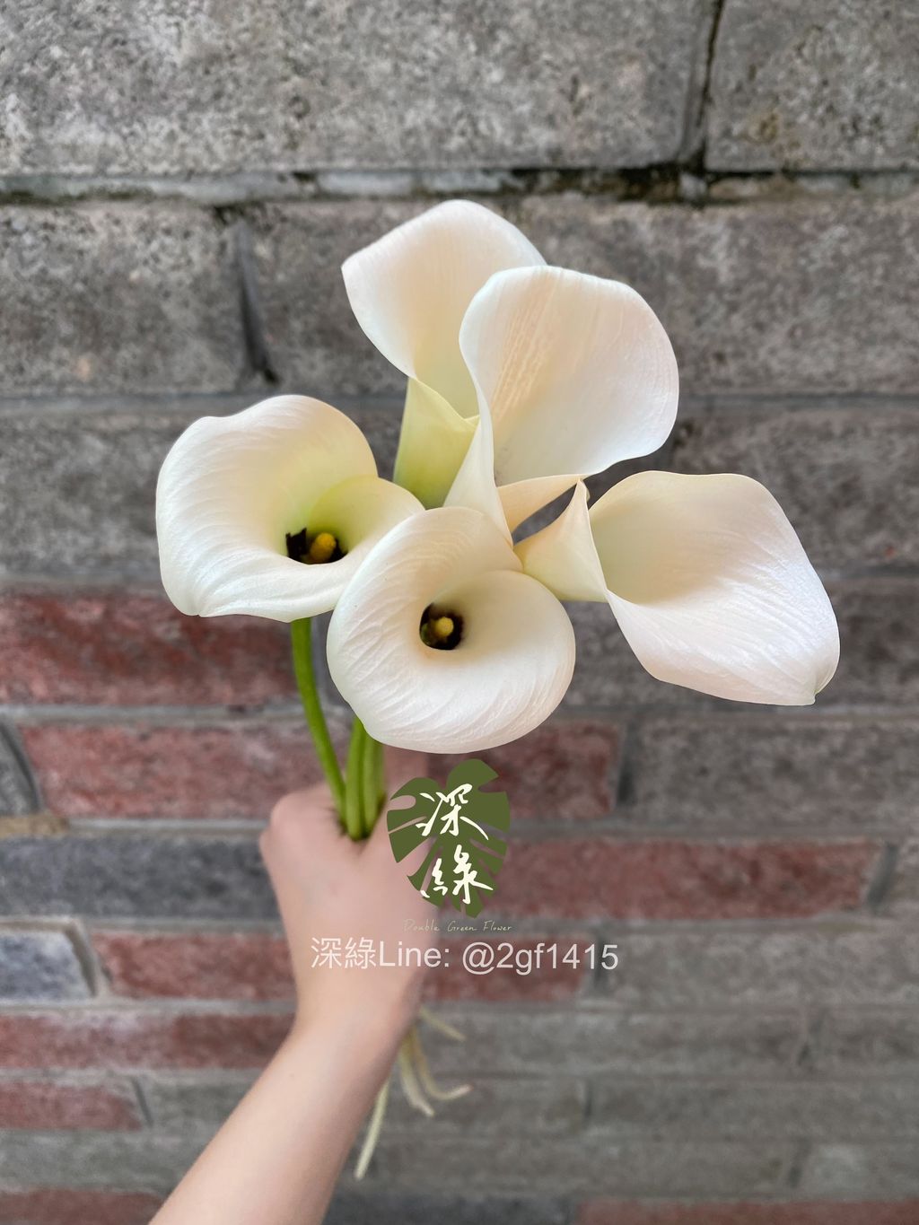 image_305B8984-EA51-4467-B72E-13A590BF1E18_1775466799