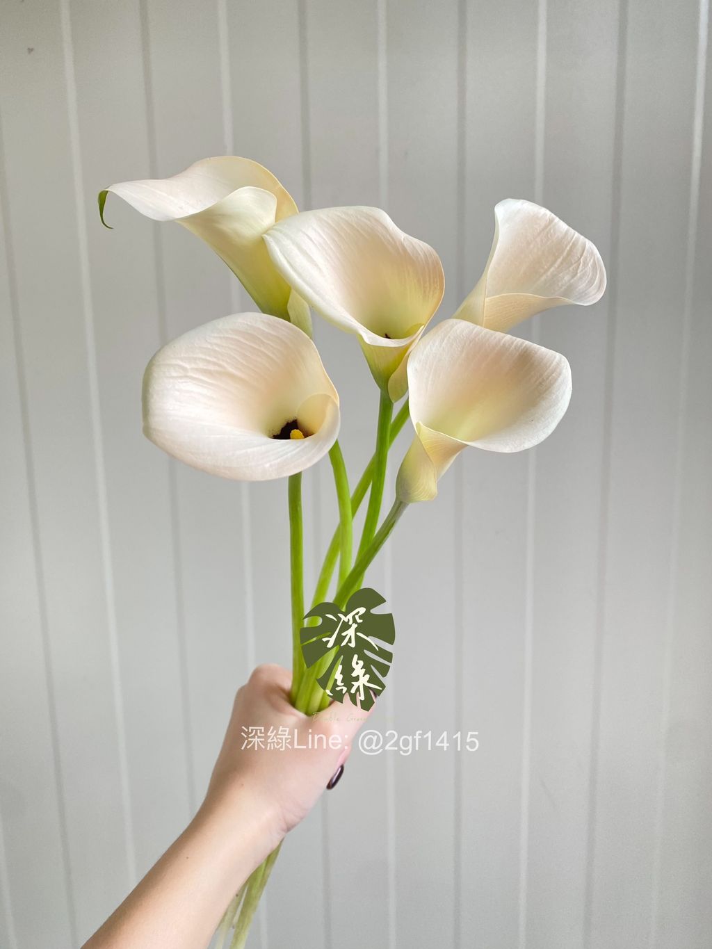 image_424AE6FA-3260-42BF-ABDA-80438A317940_1775466799