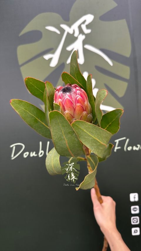 image_BBC234E6-C7A8-43DD-BF72-D4702F2BA50B_1775539728