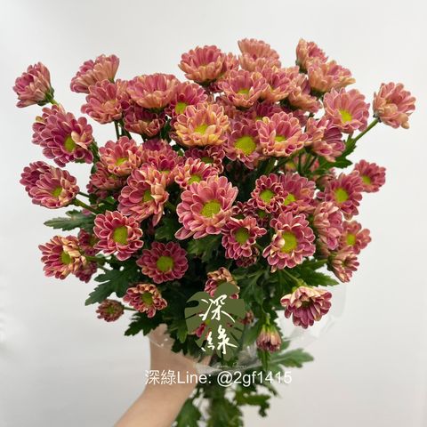 image_DBAB7FF8-4FD7-4224-A3B4-DA8D777955B2_1775607873