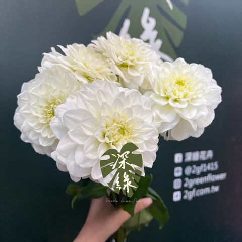 image_8D891D4E-1034-40FE-951F-2B5A109677E0_1775616045