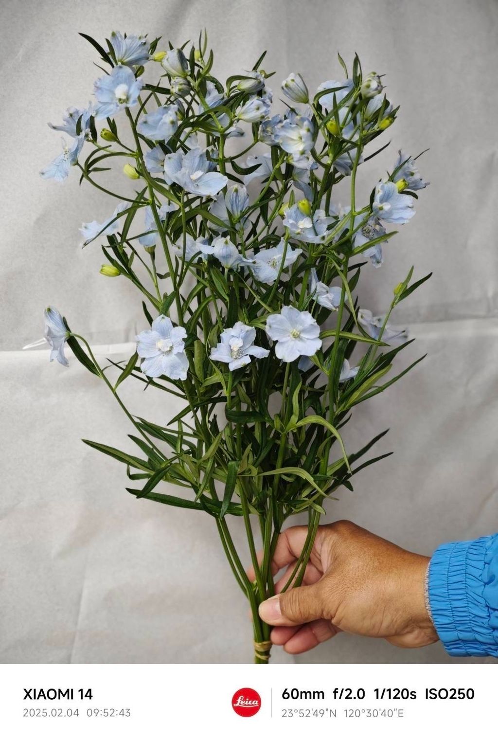 IMG_7480-1738641829762