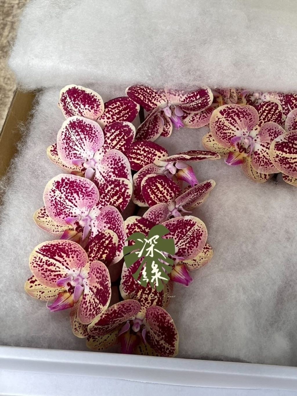 image_E15455D3-A88D-4942-AD12-B3D5E38C4C5B_1775706492