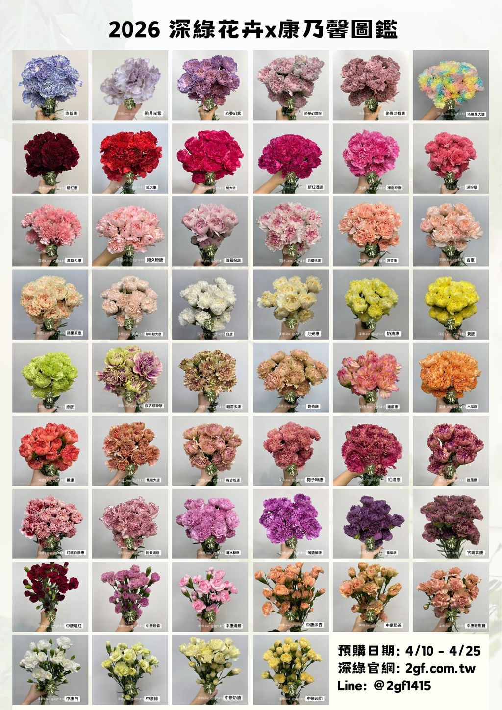 2026 深綠花卉康乃馨圖鑑 (1)