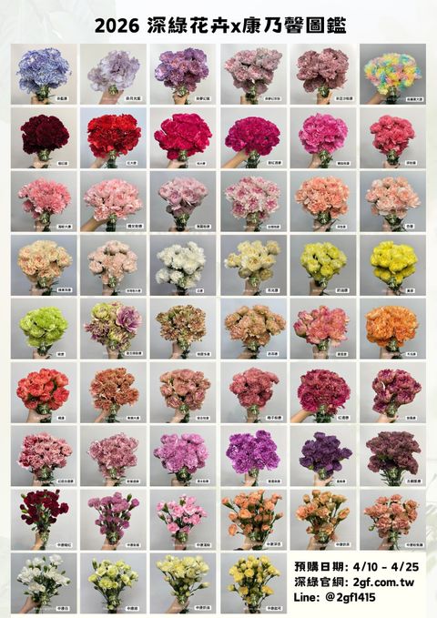 2026 深綠花卉康乃馨圖鑑 (1)