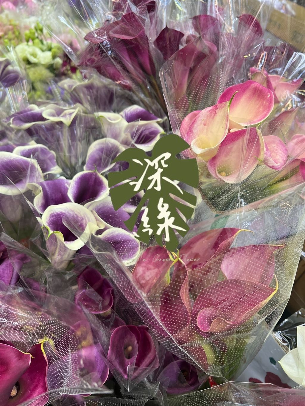 image_50ADF66D-127B-414C-B44F-1DA29B84C11D_1766628007