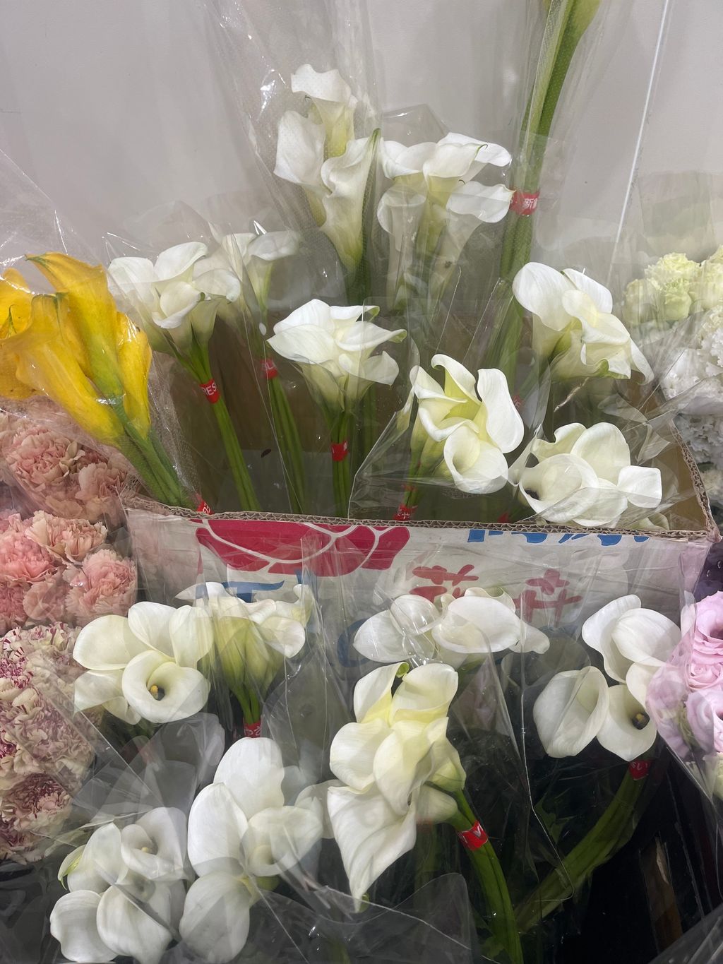 image_picker_EE1791C6-E12F-4305-959B-85BEECF9ED42-39570-000024B1CB7B3AD5