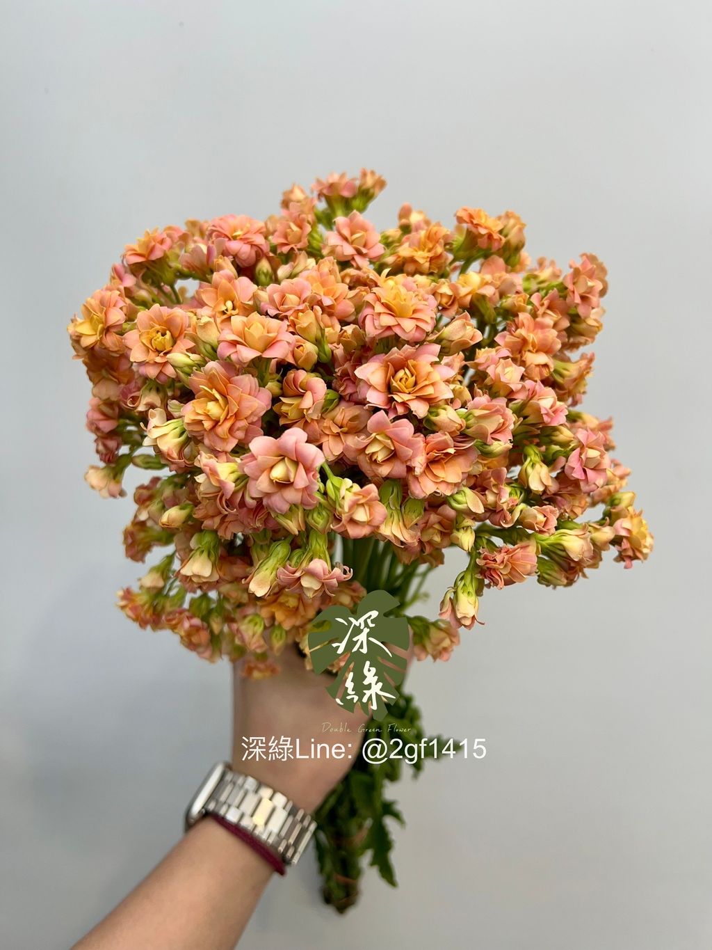 image_F884A8B6-5AC5-47D9-900C-A615AC9FFE0F_1775974711