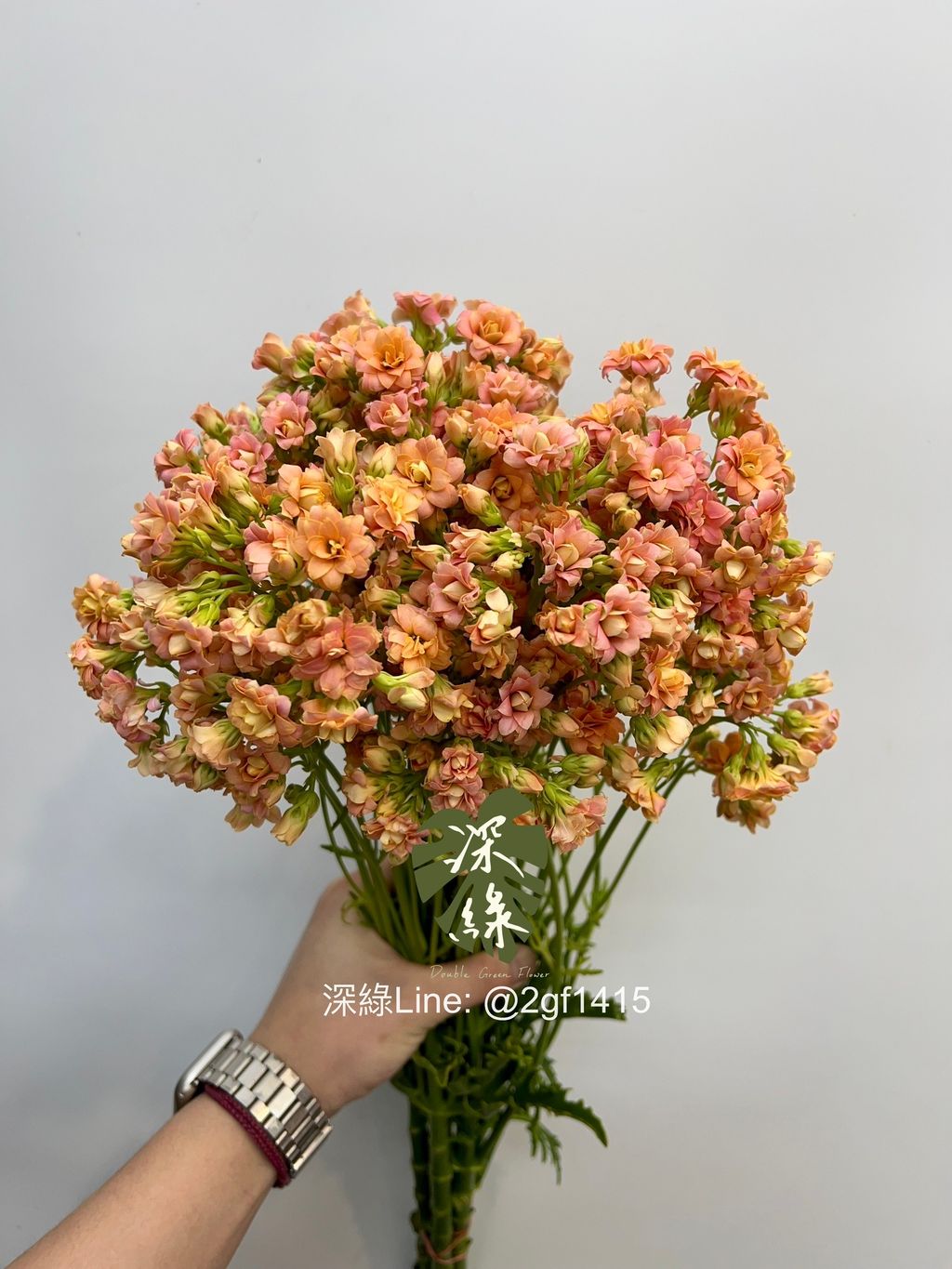 image_FE6304E8-4A87-4970-B8D8-BE8937DEA2DC_1775974711