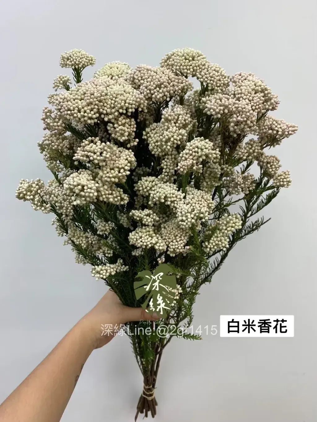 5CB51258-0ED6-464B-8E7C-19AB13B4BF89-L0-001