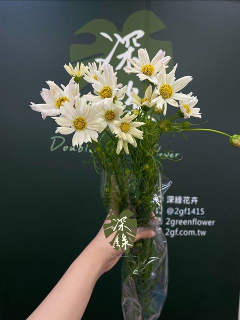 image_A3C45A05-80F0-4BB1-8F5C-DBBF028321E0_1751956227