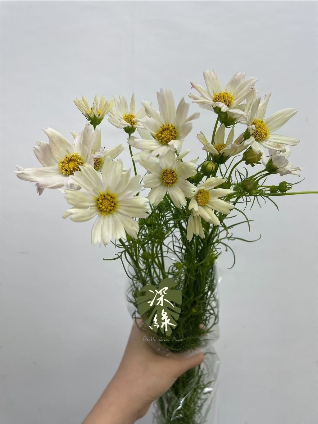 image_41764756-7EF1-443A-983F-912FAA254FA3_1751956227