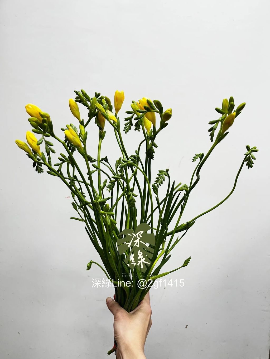 messageImage_1775976939026