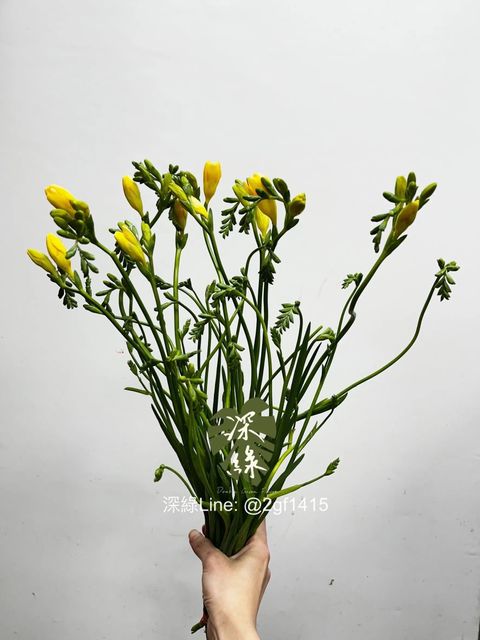 messageImage_1775976939026