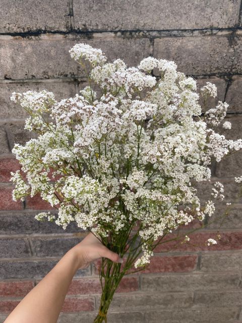 image_A5C78BE6-C899-4C50-9779-AF090935EAE7_1774602612