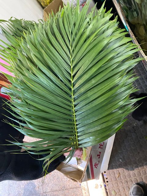 image_12648F82-3E0C-409E-8449-AD563B0411A0_1776071262