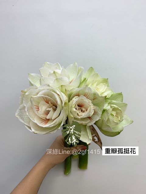 9FC06118-CDE0-452A-9165-72E8B63FBE36