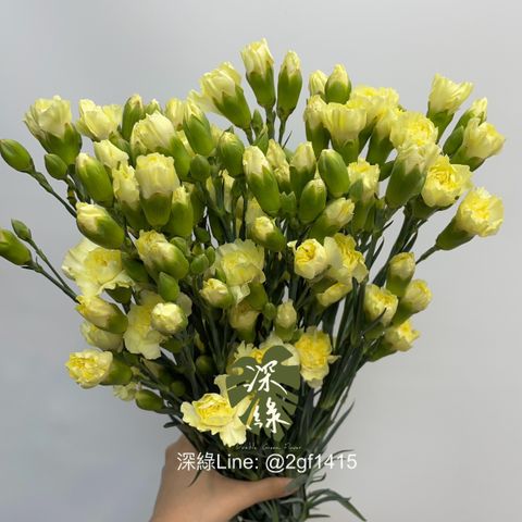 image_5EA53831-63BA-4FDA-AB96-E2F04A6BDD9E_1776138074