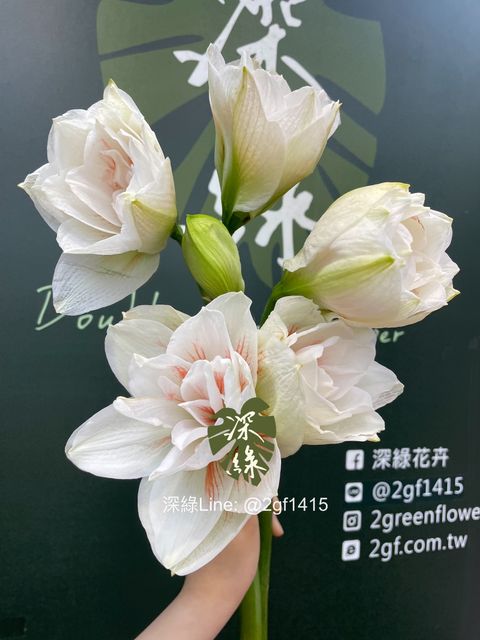 image_5557C497-97A0-459B-AB1A-2CEF28A46D2A_1776138087