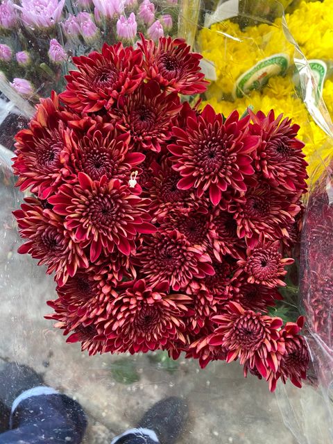 image_58C72DD5-63D7-4FC5-A3A3-41E78AD11540_1776142923