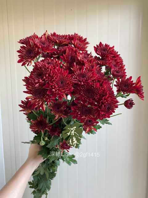 image_C22E2F7B-0DA2-4590-A4B3-23BE5A6DF23B_1776153336