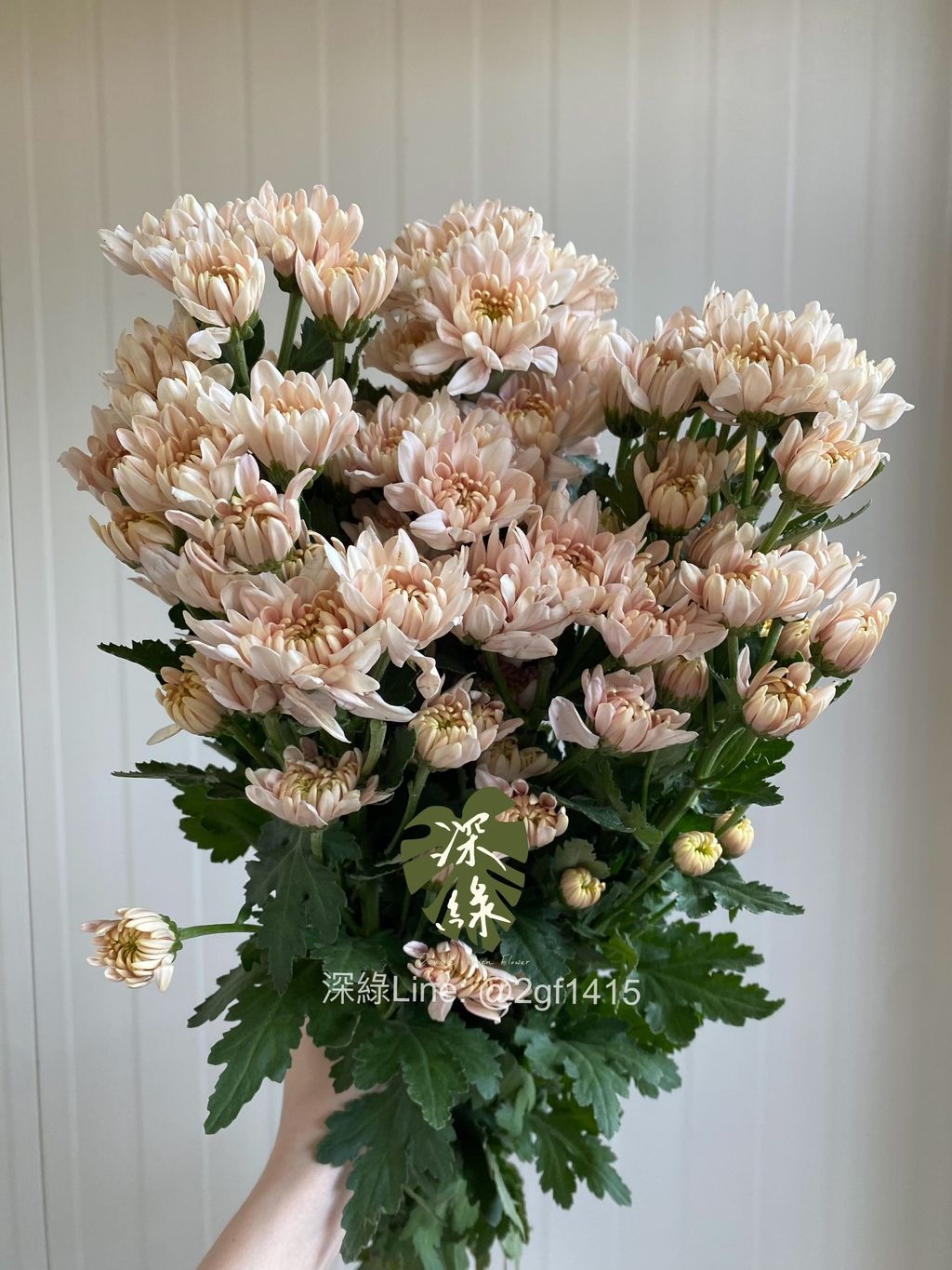 image_A2D50BDF-CCCB-454B-9B03-C712C2C0B0B4_1776153371