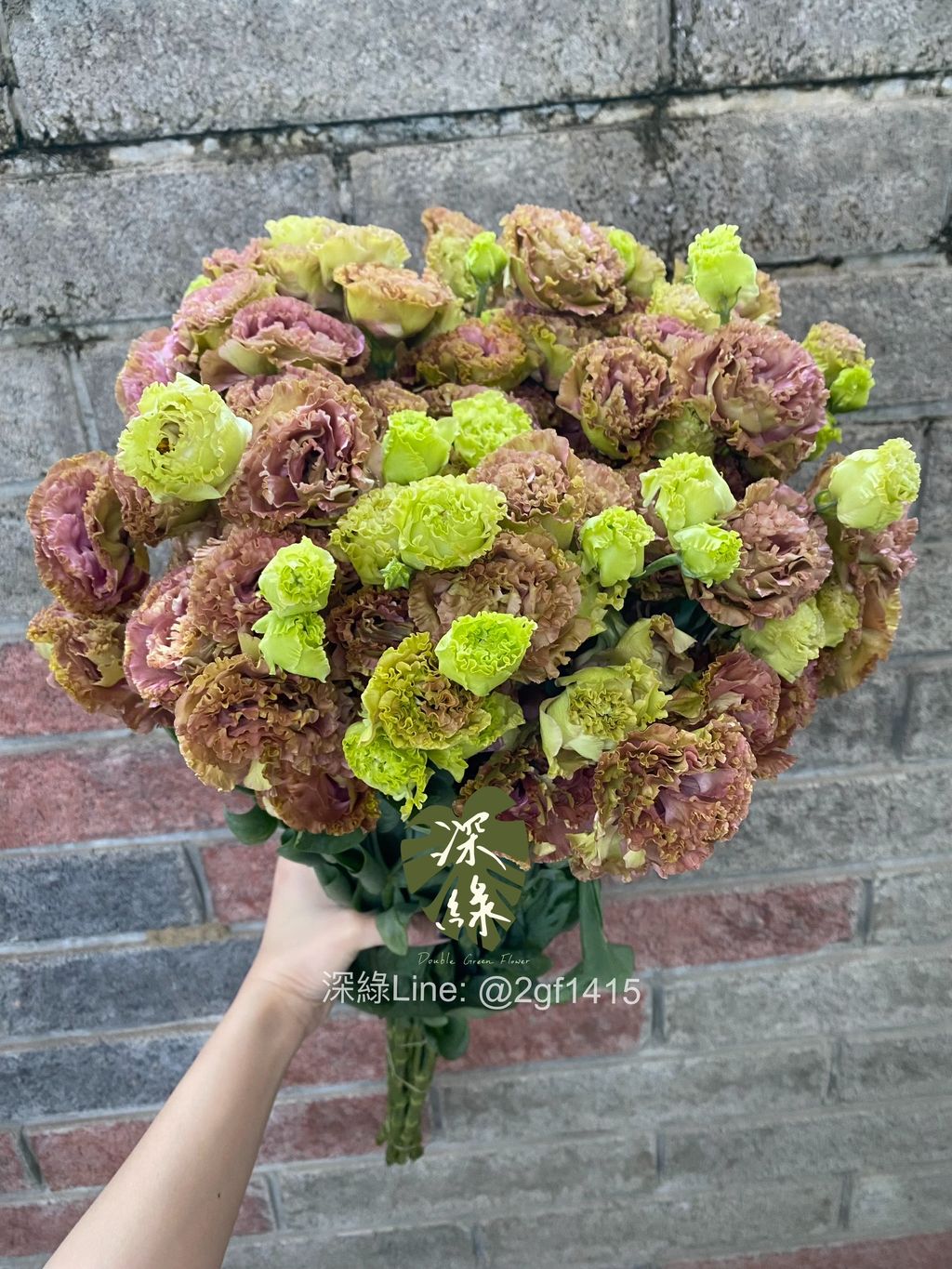 image_96CB0C76-DF1C-4F9A-A392-D6D17C9084F0_1776153408