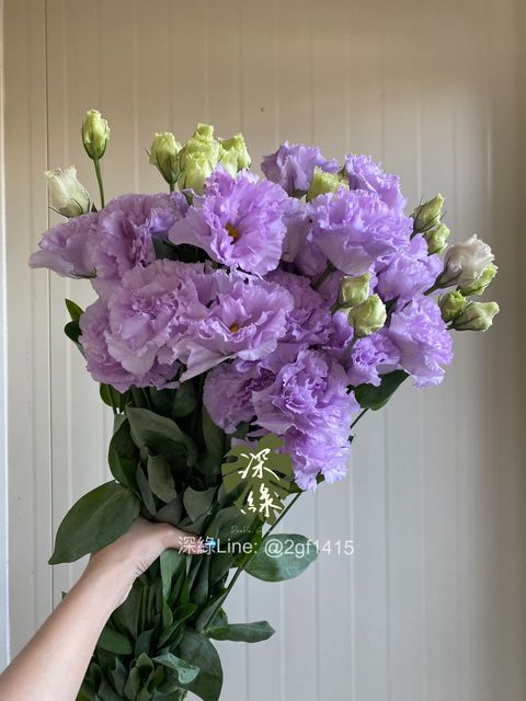 image_2020CF11-9824-4BBE-AA66-B1E02B8E69F7_1776153443