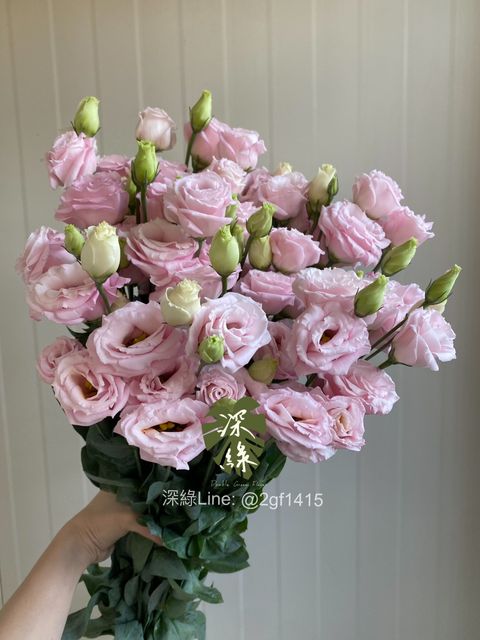 image_493524DF-00CE-4F85-9226-DD38721D8476_1776153463