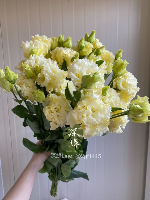 image_11DA368D-071A-49DE-83BC-C050C04CB28A_1776153502