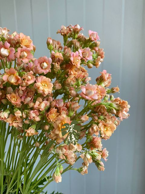 image_6B8DC8F0-6F04-45E5-9295-F9D9322260B4_1776154396