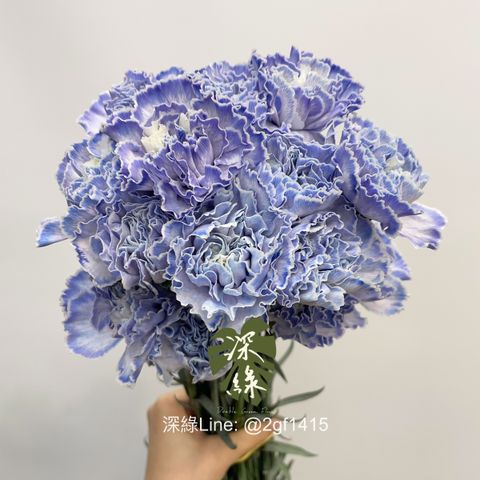 image_C7123830-65B1-44E8-B0BB-EA75868CCFB9_1776172307