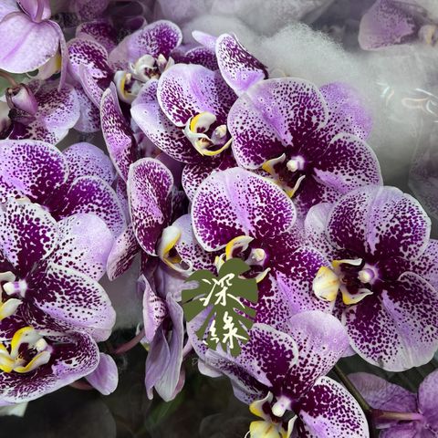 image_86D8C264-7F53-4D6A-8956-C33328C346D9_1776215011