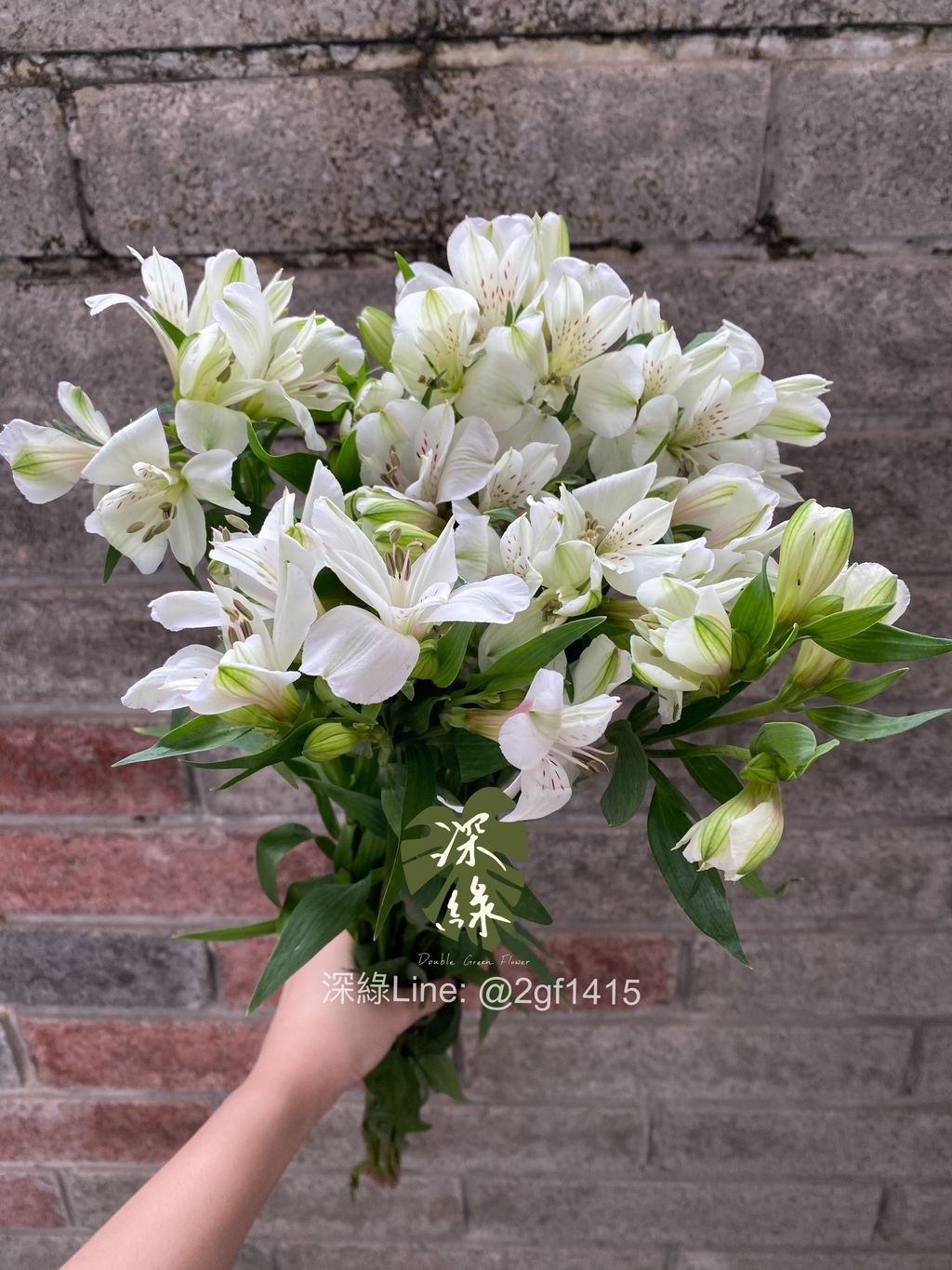 S__49905678_0