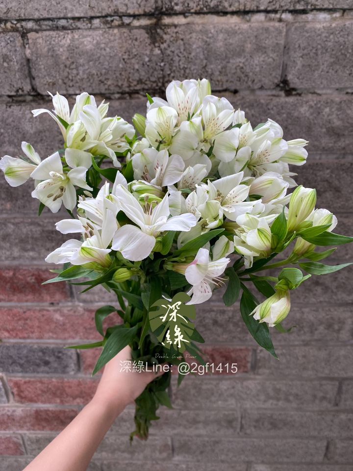S__49905678_0